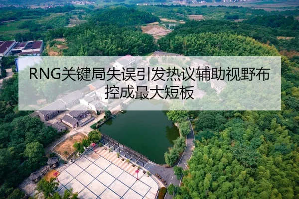 RNG关键局失误引发热议辅助视野布控成最大短板